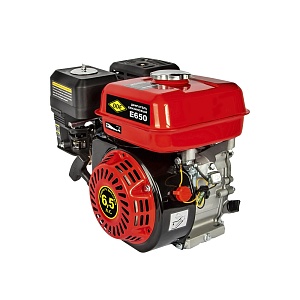 Двигатель бензиновый 4-х тактный DDE E650-Q19